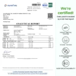 Pure Shilajit Gummies - Image 11